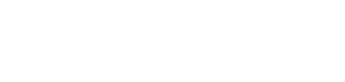 pfSense plus logo